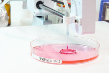 Nahaufnahme einer Petrischale und eines 3D-Bioprinting-Verfahrens, um aus der Kombination von Zellen, Wachstumsfaktoren und Biomaterialien biomedizinische Teile herzustellen.