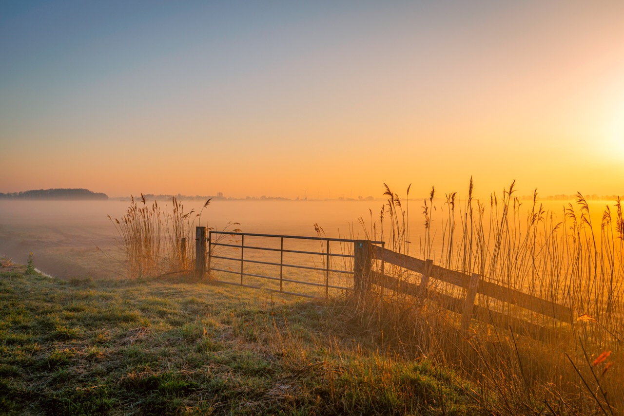 Zu sehen ist ein verlassenes Feld mitten in einer Landschaft, es ist früh am Morgen, der Tau liegt in der Luft und die Sonne geht langsam auf.